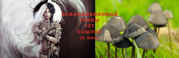 mix Козельск