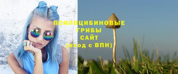 apvp Кодинск