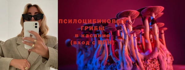 метамфетамин Козловка