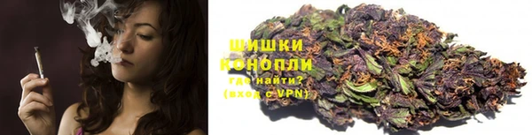 mix Козельск