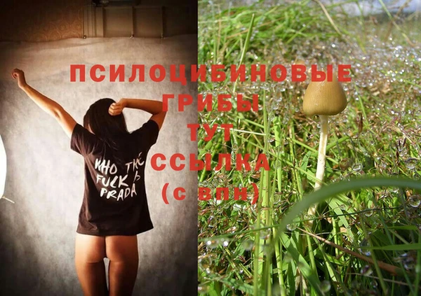 apvp Кодинск