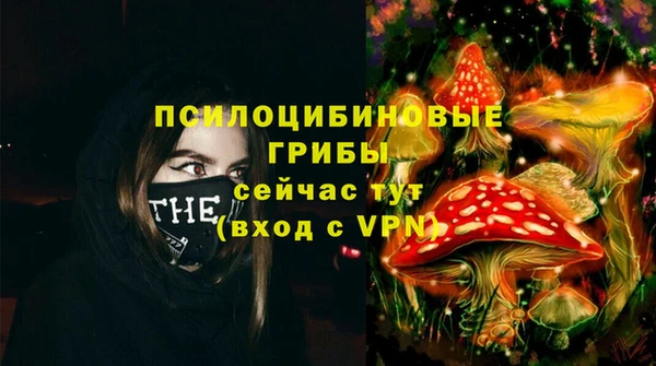метамфетамин Козловка