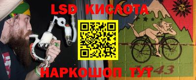 бошки Можга
