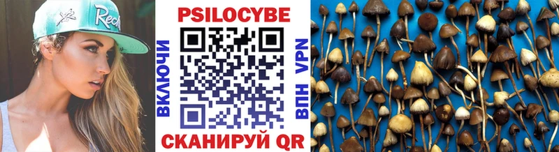 Купить закладки  Егорьевск  Галлюциногенные грибы ЛСД 