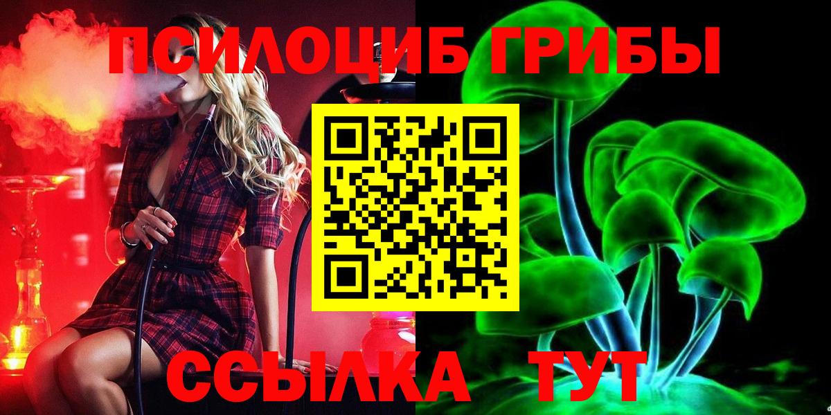 Егорьевск  Псилоцибиновые грибы Psilocybe  Вход с VPN 