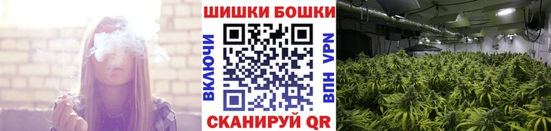 Купить  Егорьевск  Конопля гибрид 